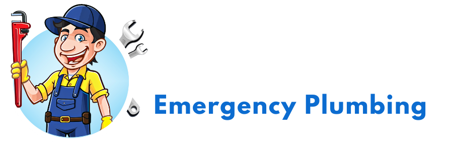 https://www.hampton.emergencyplumbinglocal.com/wp-content/uploads/2021/05/Logo-1.png